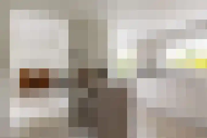 C. Barendregtlaan 13 Rhoon thumbnail 17