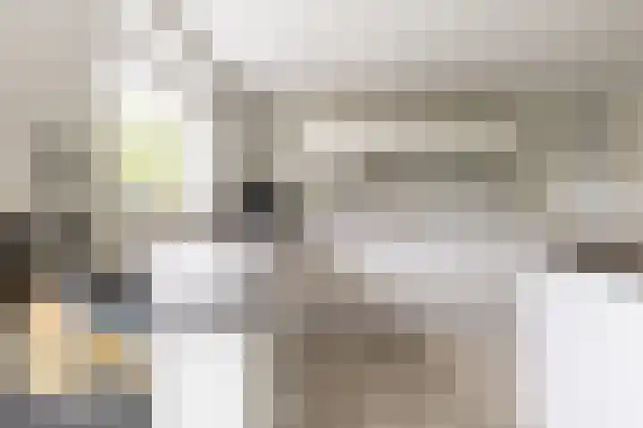 C. Barendregtlaan 13 Rhoon thumbnail 18