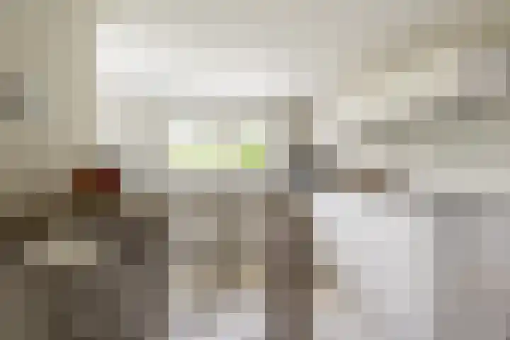 C. Barendregtlaan 13 Rhoon thumbnail 19