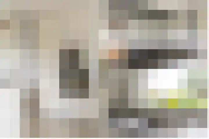 C. Barendregtlaan 13 Rhoon thumbnail 20