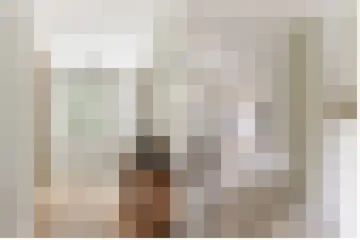 C. Barendregtlaan 13 Rhoon thumbnail 23