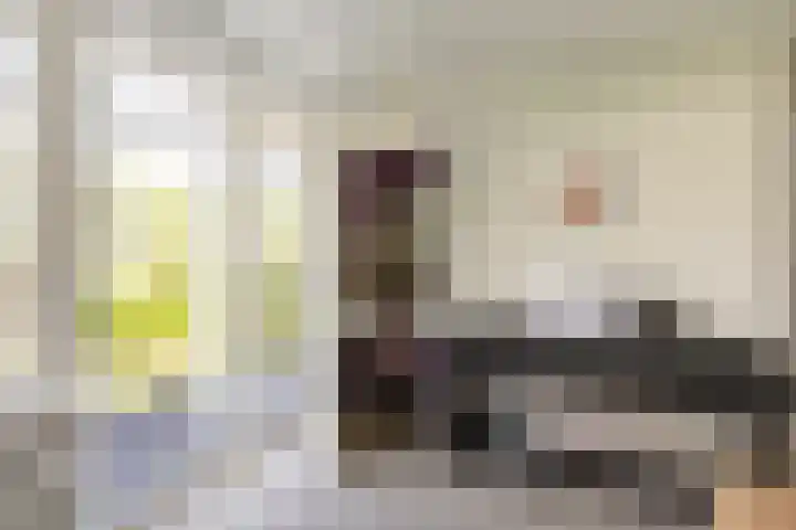 C. Barendregtlaan 13 Rhoon thumbnail 25