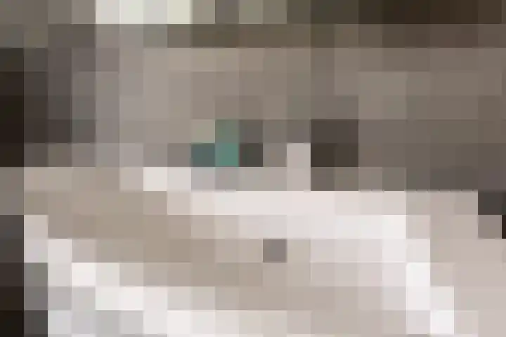 C. Barendregtlaan 13 Rhoon thumbnail 28