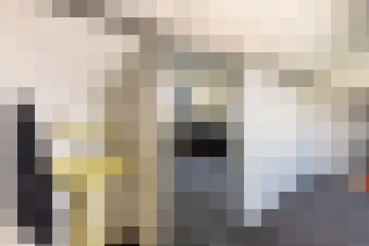 C. Barendregtlaan 13 Rhoon thumbnail 33