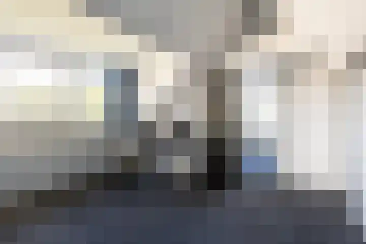 C. Barendregtlaan 13 Rhoon thumbnail 34