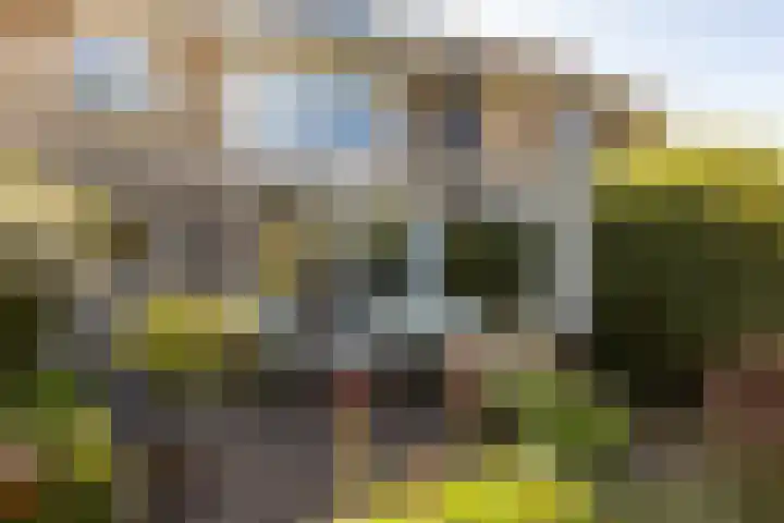 C. Barendregtlaan 13 Rhoon thumbnail 36