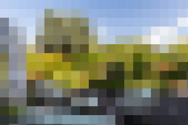 C. Barendregtlaan 13 Rhoon thumbnail 37