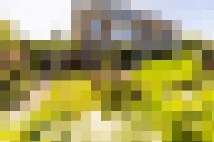 C. Barendregtlaan 13 Rhoon thumbnail 39