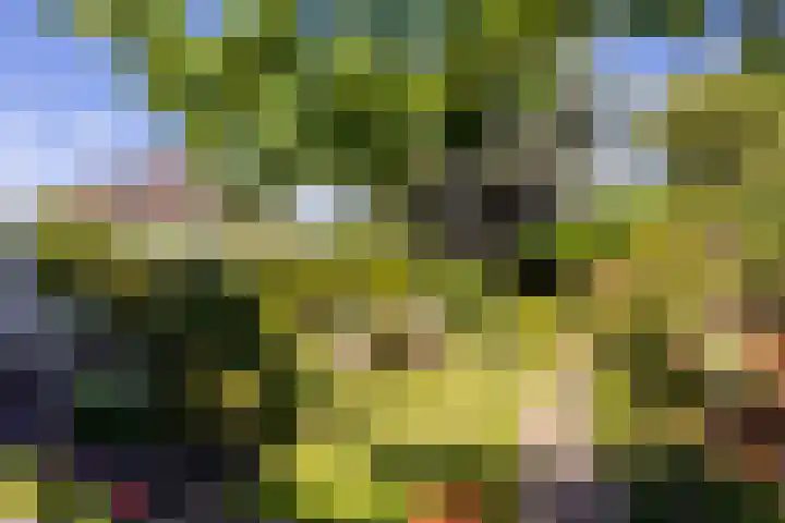 C. Barendregtlaan 13 Rhoon thumbnail 40