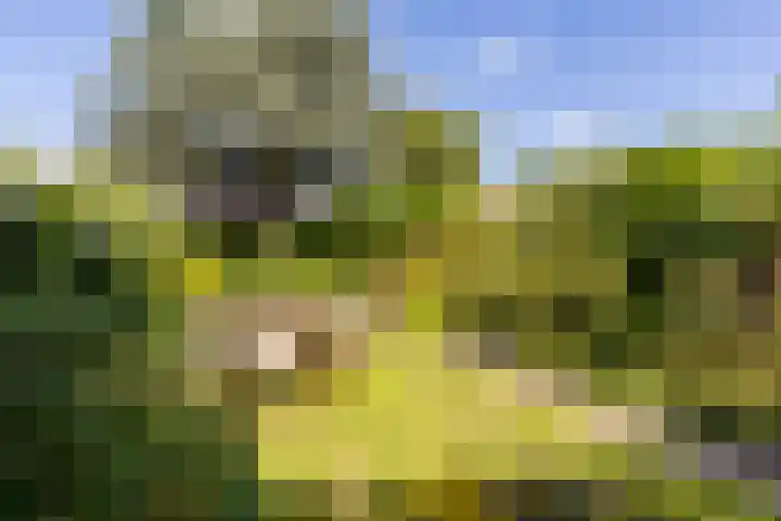 C. Barendregtlaan 13 Rhoon thumbnail 42