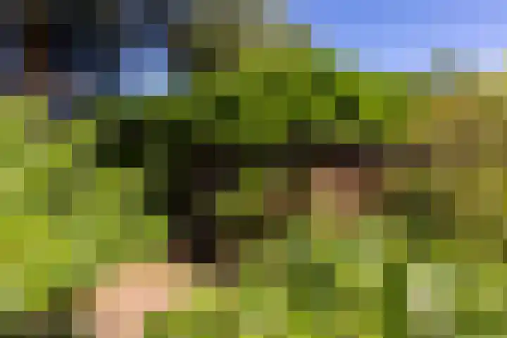 C. Barendregtlaan 13 Rhoon thumbnail 43