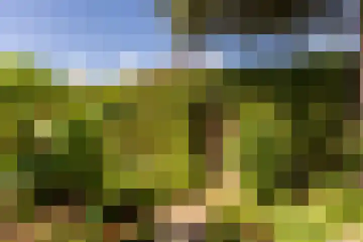 C. Barendregtlaan 13 Rhoon thumbnail 44
