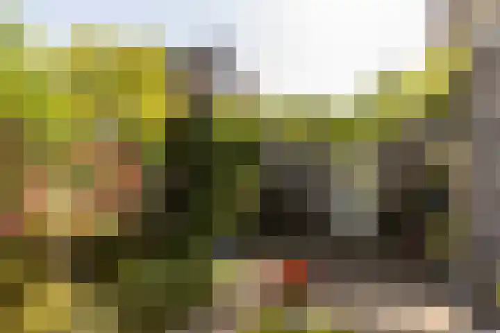 C. Barendregtlaan 13 Rhoon thumbnail 45