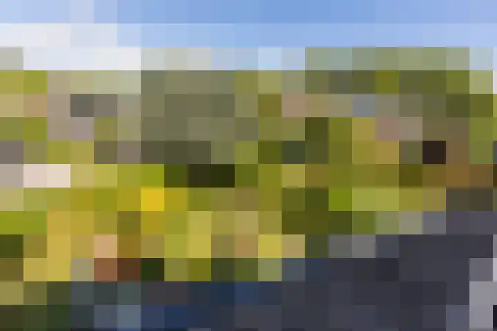 C. Barendregtlaan 13 Rhoon thumbnail 46