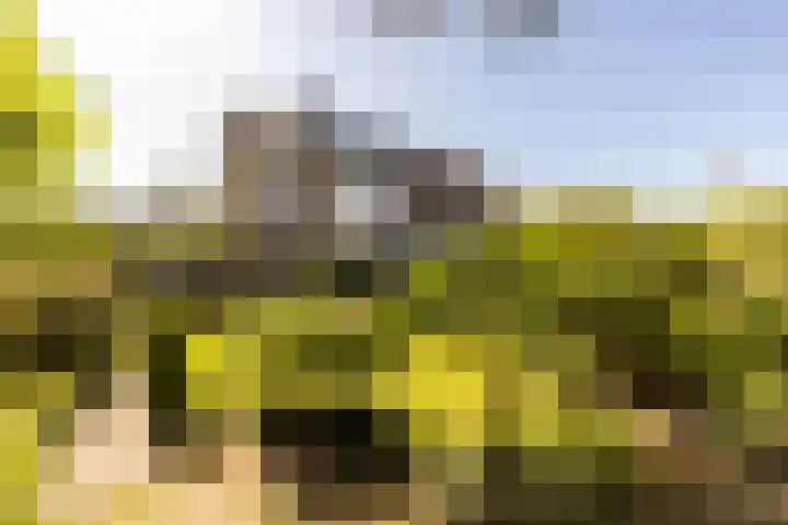 C. Barendregtlaan 13 Rhoon thumbnail 57