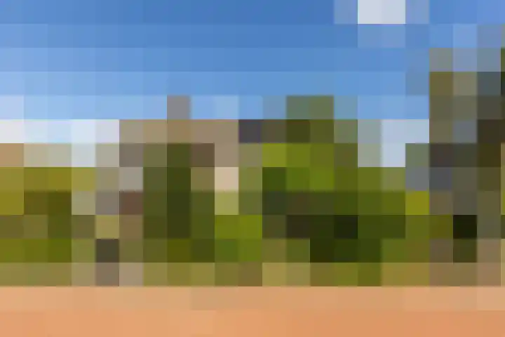 C. Barendregtlaan 13 Rhoon thumbnail 6