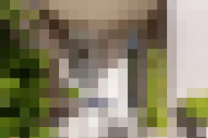 C. Barendregtlaan 13 Rhoon thumbnail 7