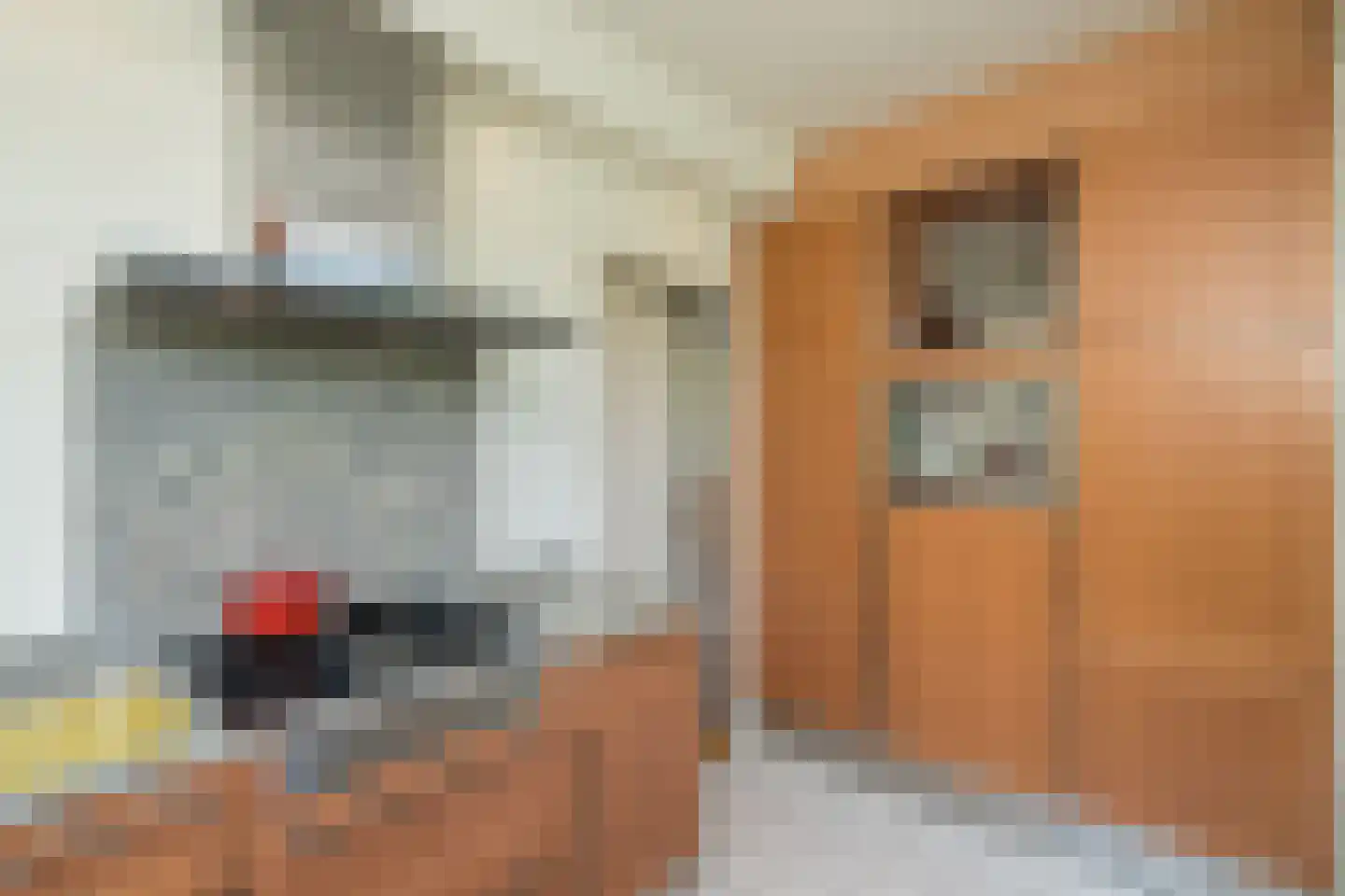 C. Barendregtlaan 7 Rhoon thumbnail 18