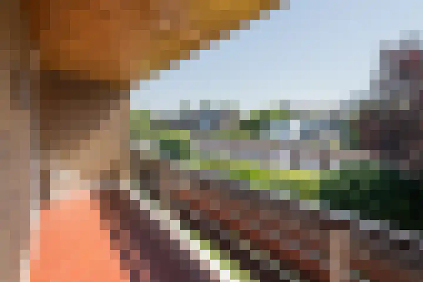 C. Barendregtlaan 7 Rhoon thumbnail 27