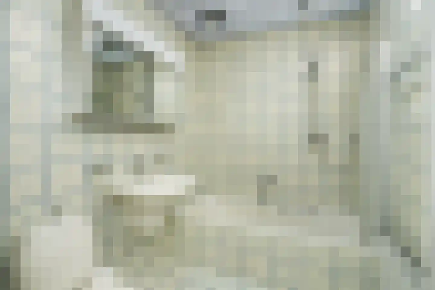 C. Barendregtlaan 7 Rhoon thumbnail 32