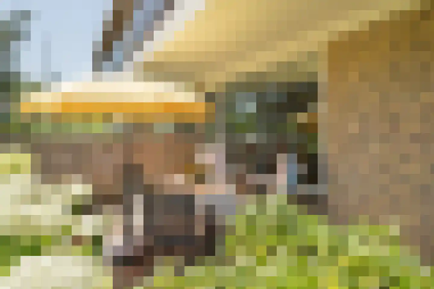 C. Barendregtlaan 7 Rhoon thumbnail 38