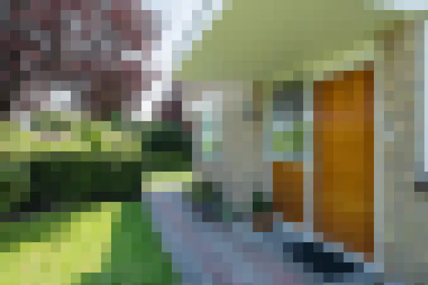 C. Barendregtlaan 7 Rhoon thumbnail 8
