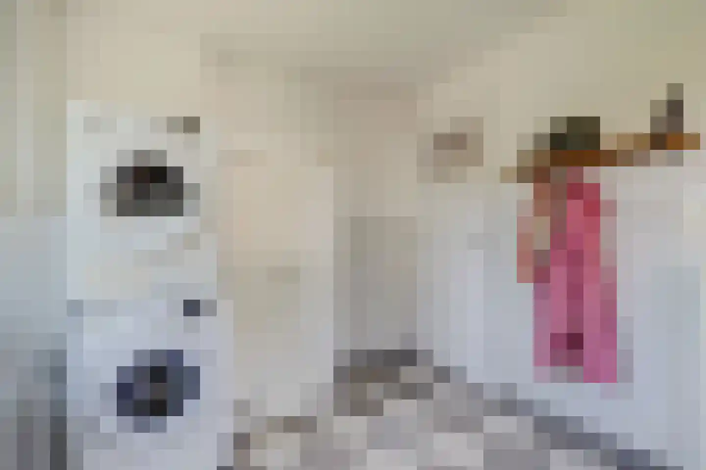 C.Branderhorststraat 10 Eethen thumbnail 19