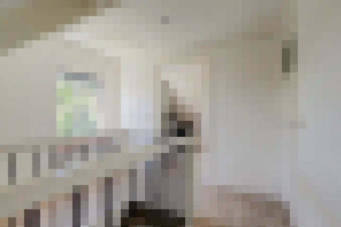 C.Branderhorststraat 10 Eethen thumbnail 20