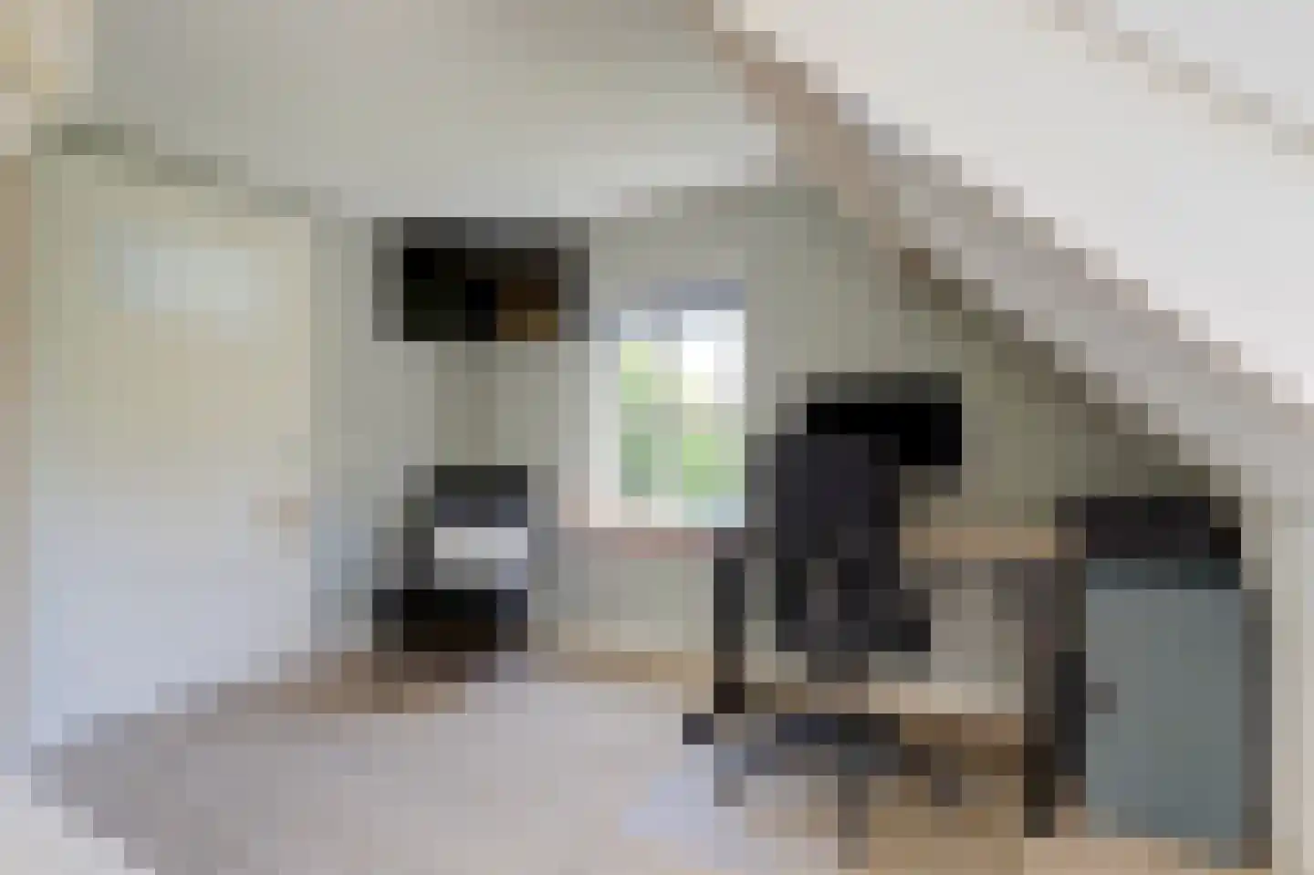 C.Branderhorststraat 10 Eethen thumbnail 22