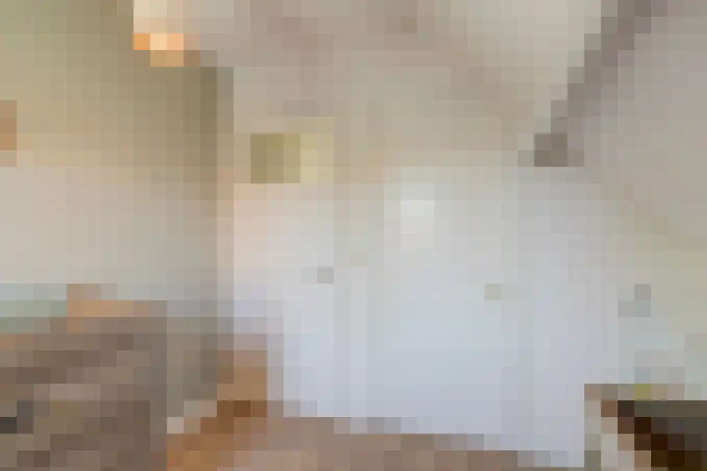 C.Branderhorststraat 10 Eethen thumbnail 27