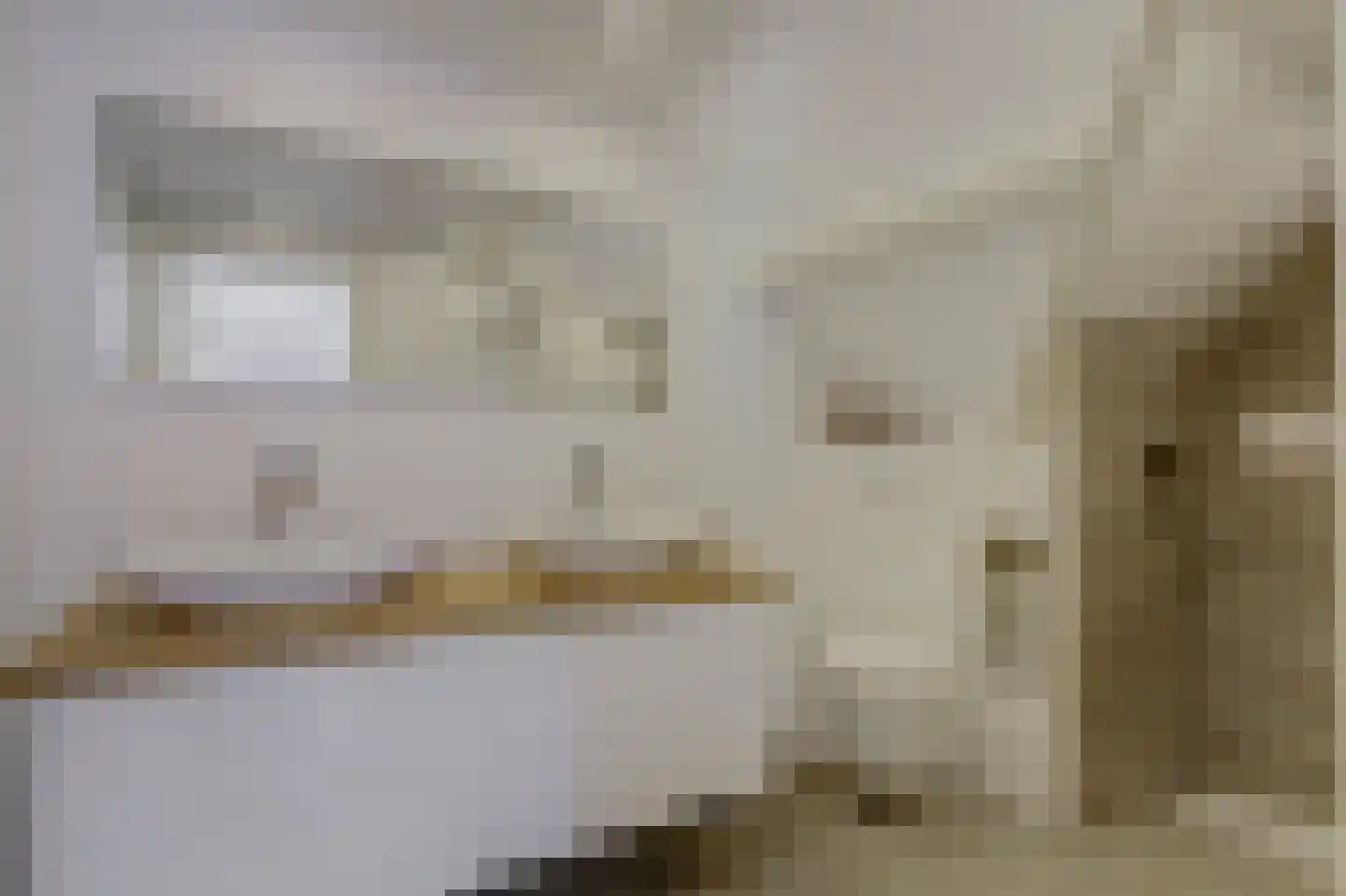 C.Branderhorststraat 10 Eethen thumbnail 28