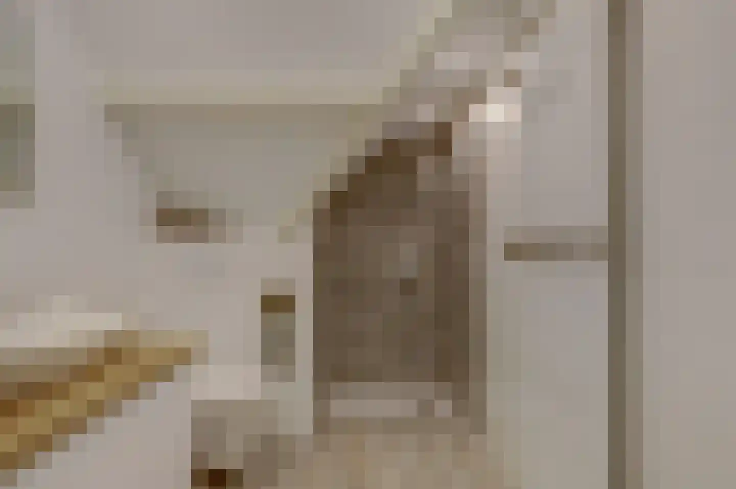 C.Branderhorststraat 10 Eethen thumbnail 29