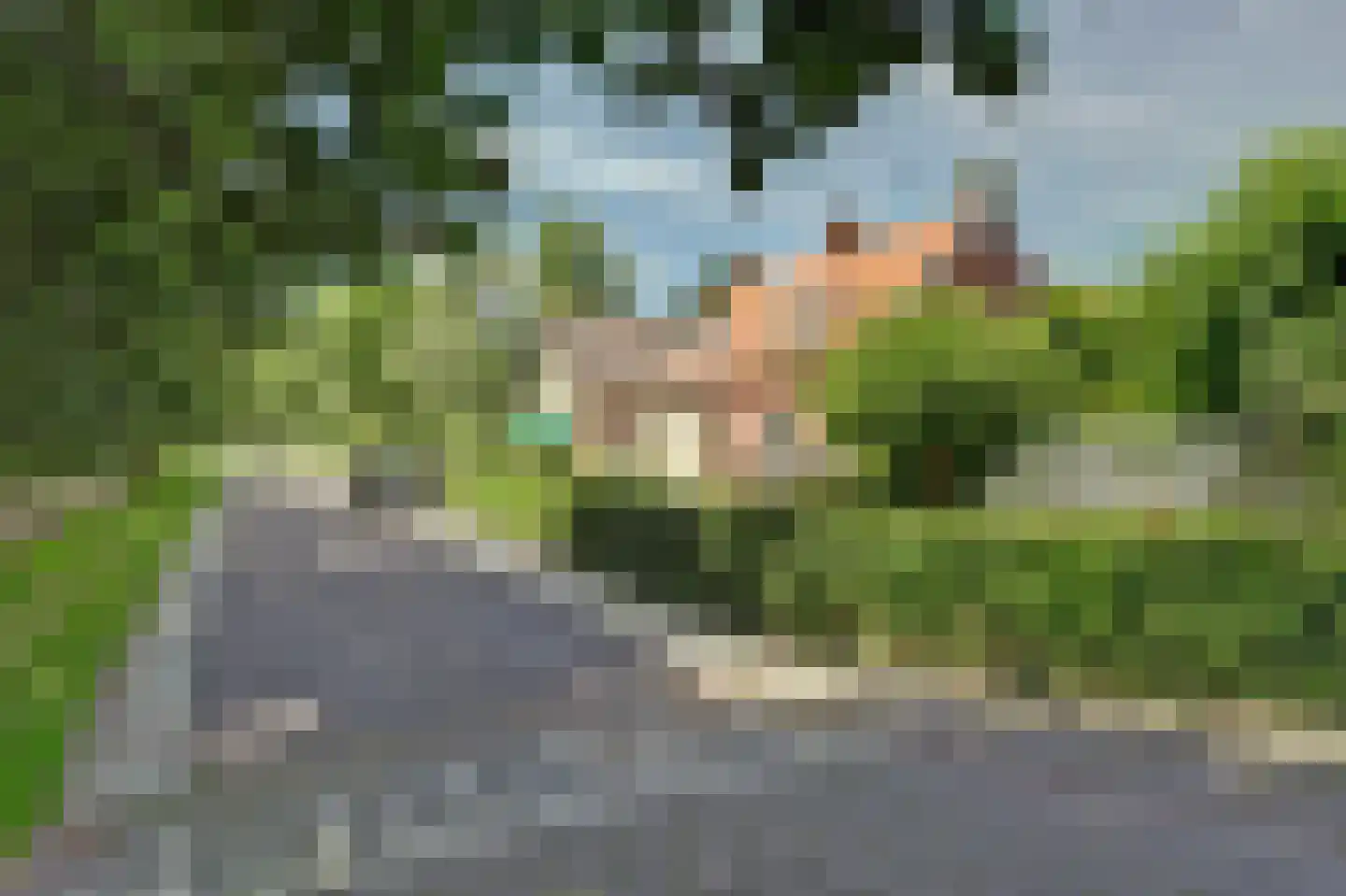 C.Branderhorststraat 10 Eethen thumbnail 32