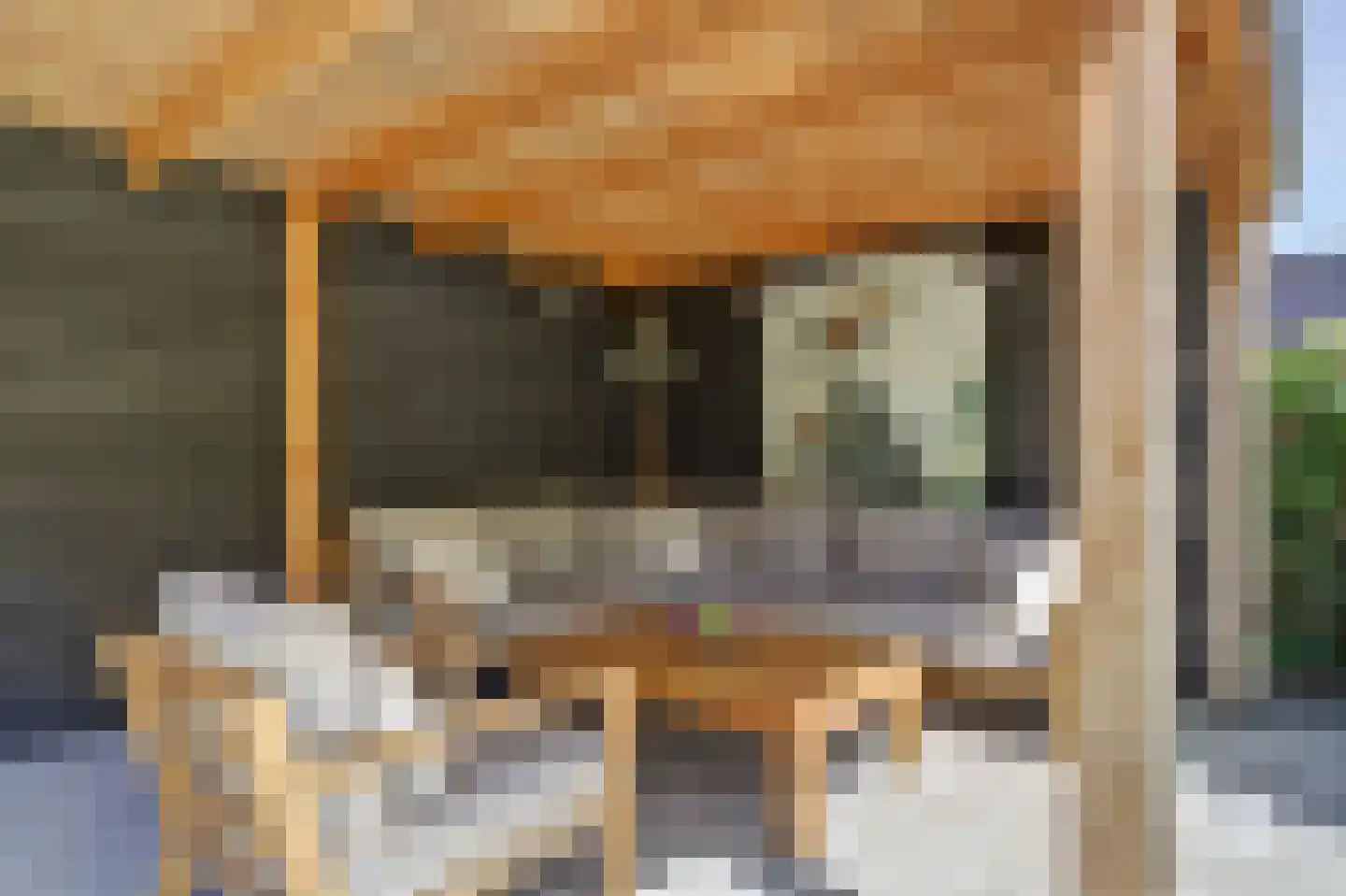 C.Branderhorststraat 10 Eethen thumbnail 35