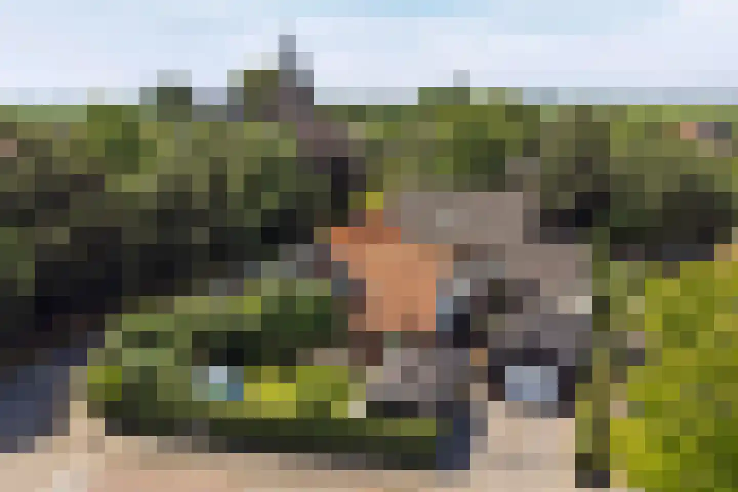 C.Branderhorststraat 10 Eethen thumbnail 41