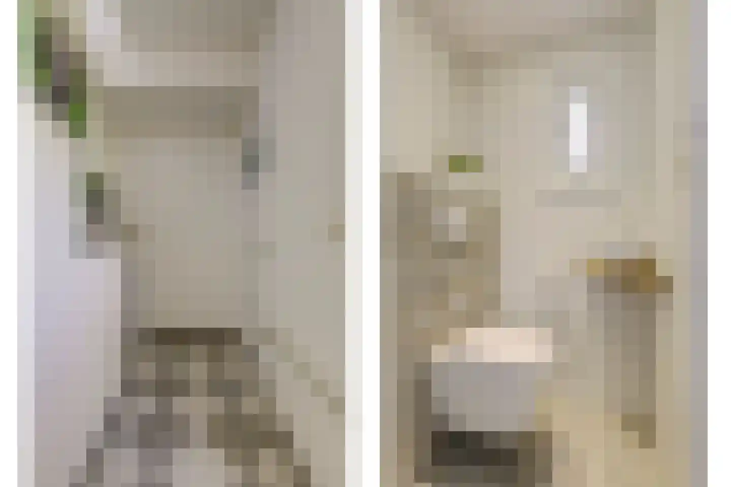 C.Branderhorststraat 10 Eethen thumbnail 6
