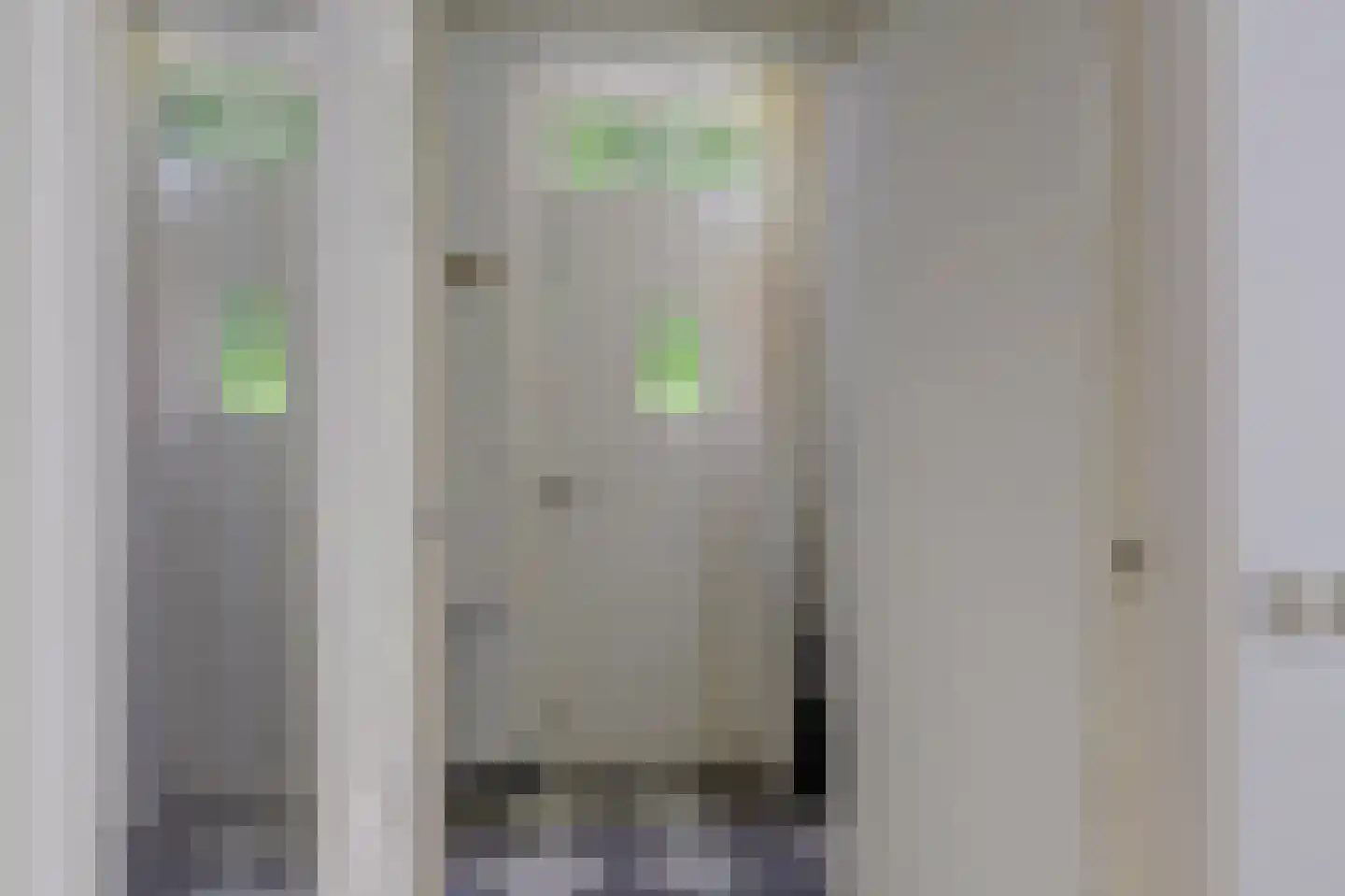 C.Branderhorststraat 10 Eethen thumbnail 8