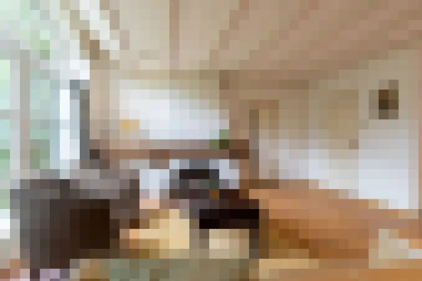 C.Branderhorststraat 16 Eethen thumbnail 11