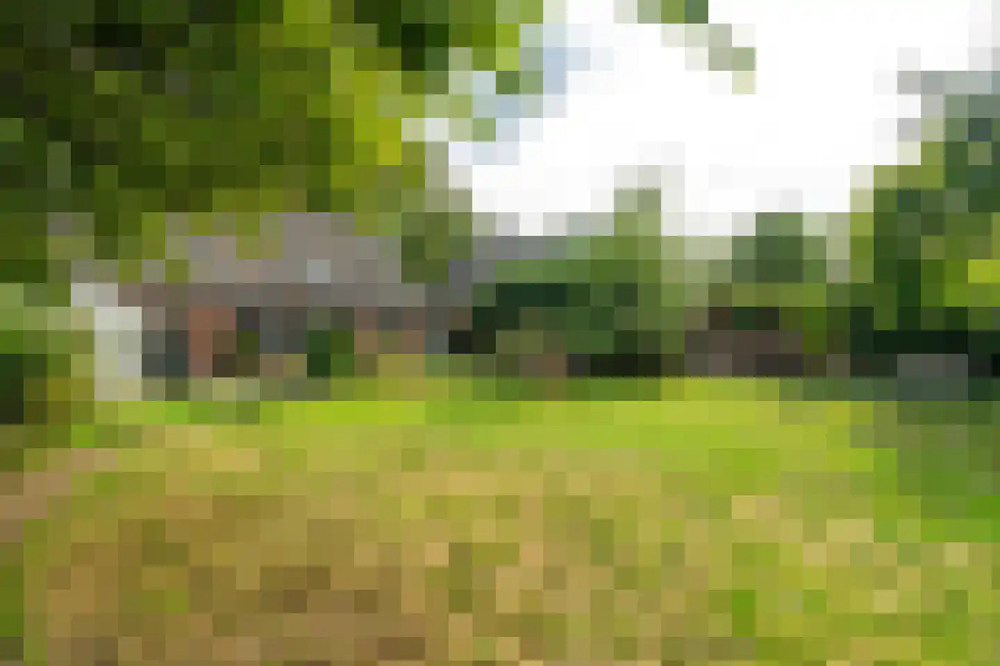 C.Branderhorststraat 16 Eethen thumbnail 42