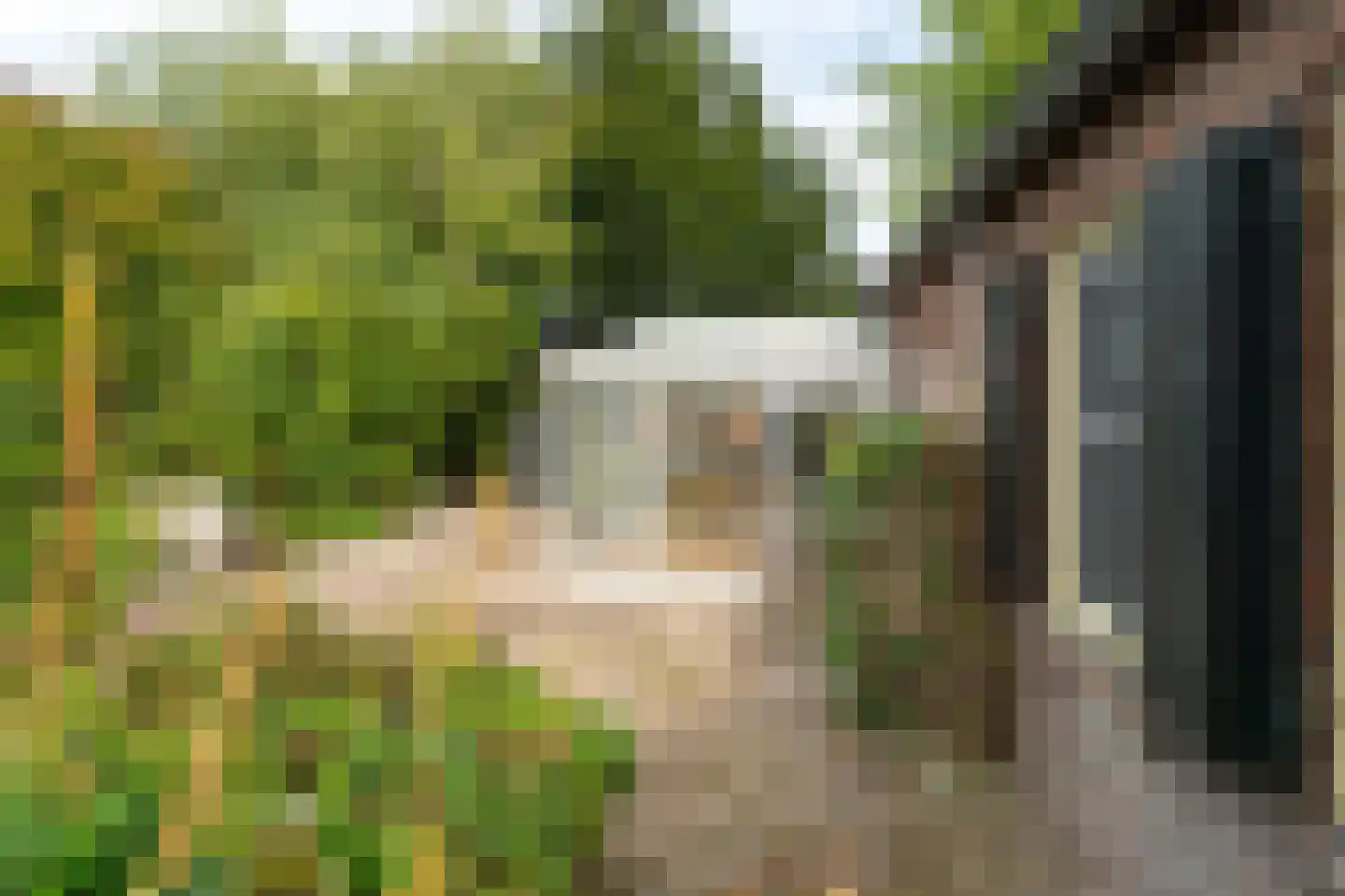 C.Branderhorststraat 16 Eethen thumbnail 43