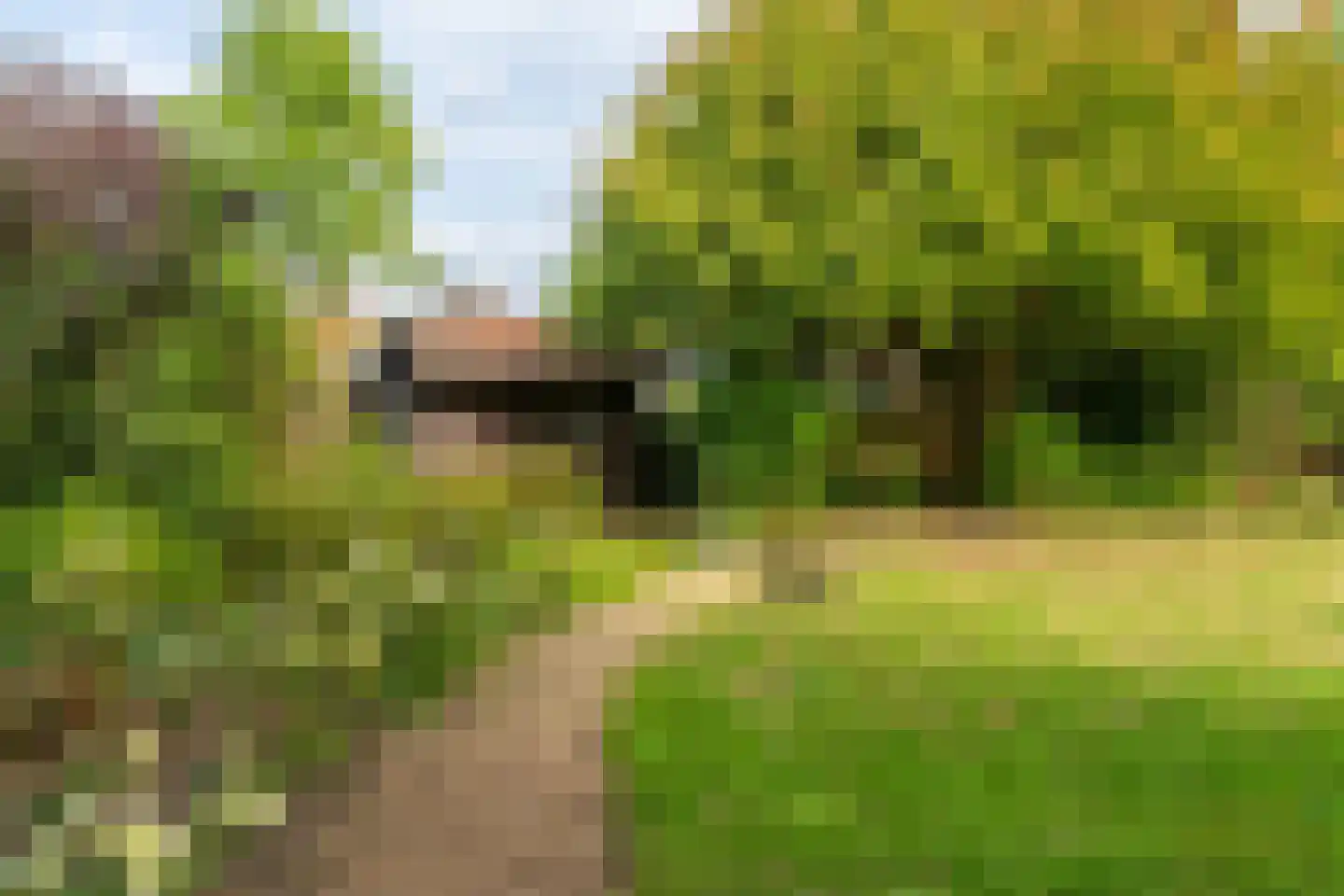 C.Branderhorststraat 16 Eethen thumbnail 47