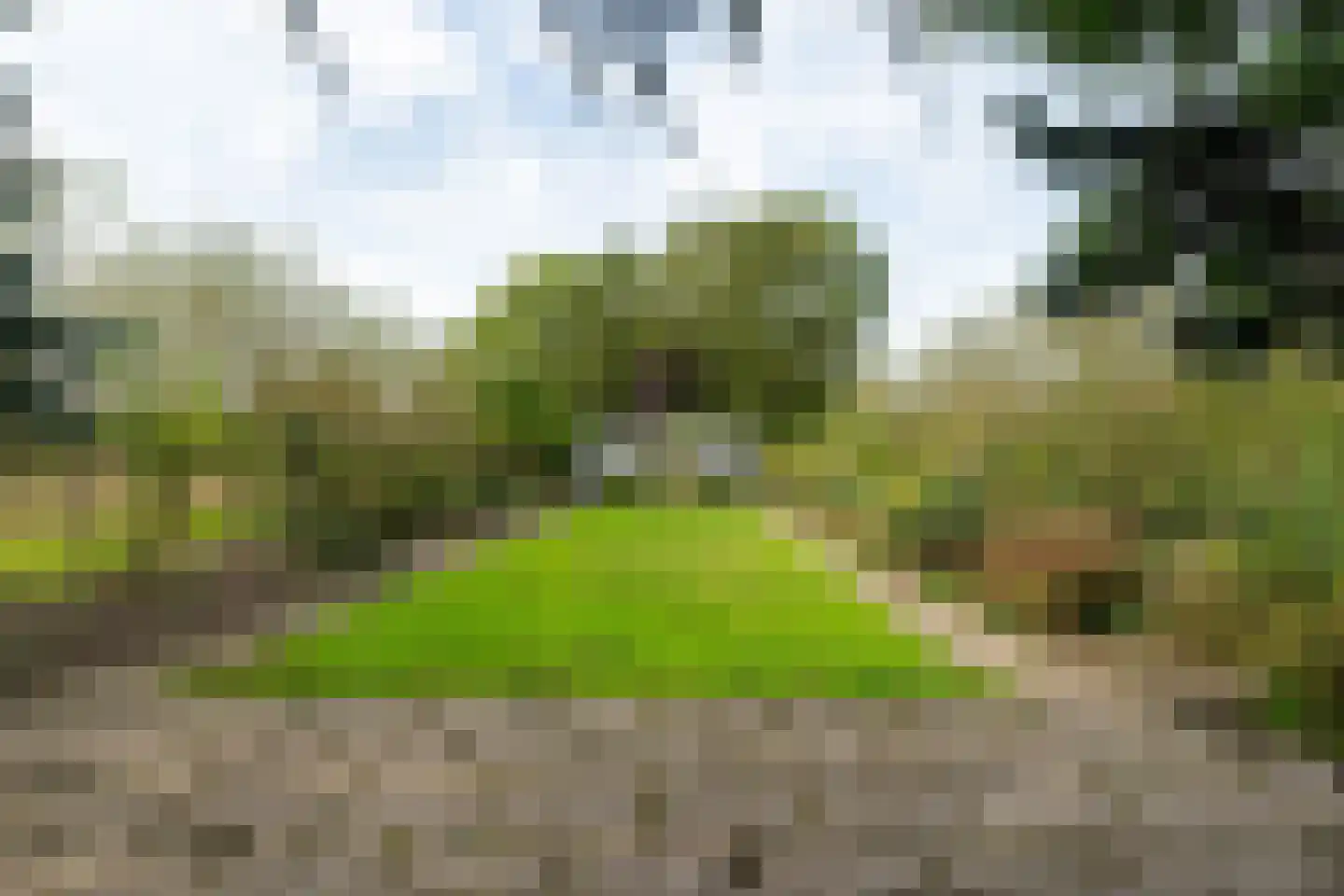 C.Branderhorststraat 16 Eethen thumbnail 49