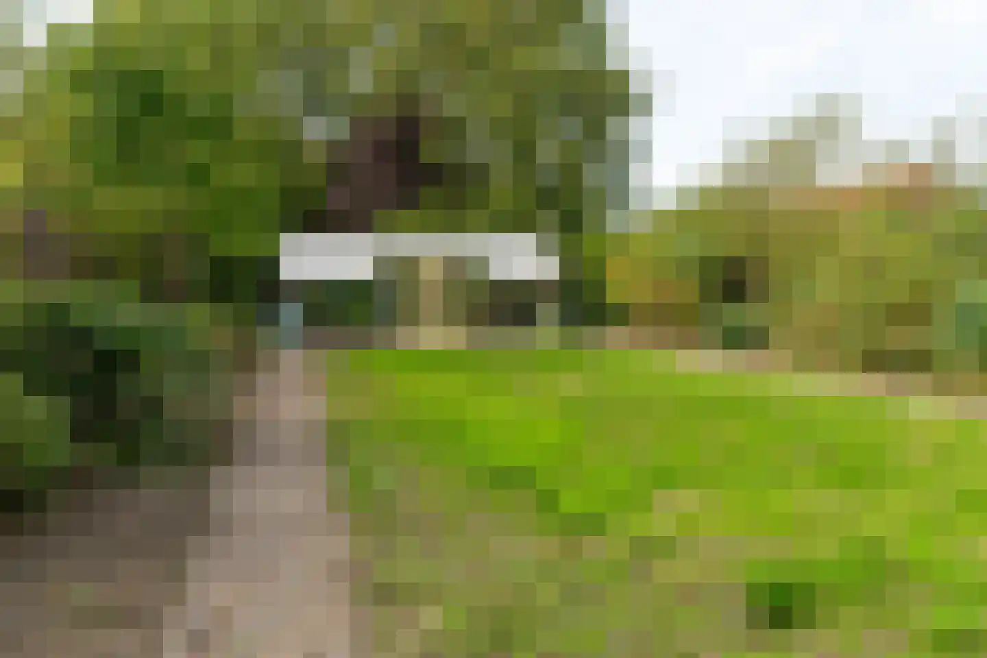 C.Branderhorststraat 16 Eethen thumbnail 50