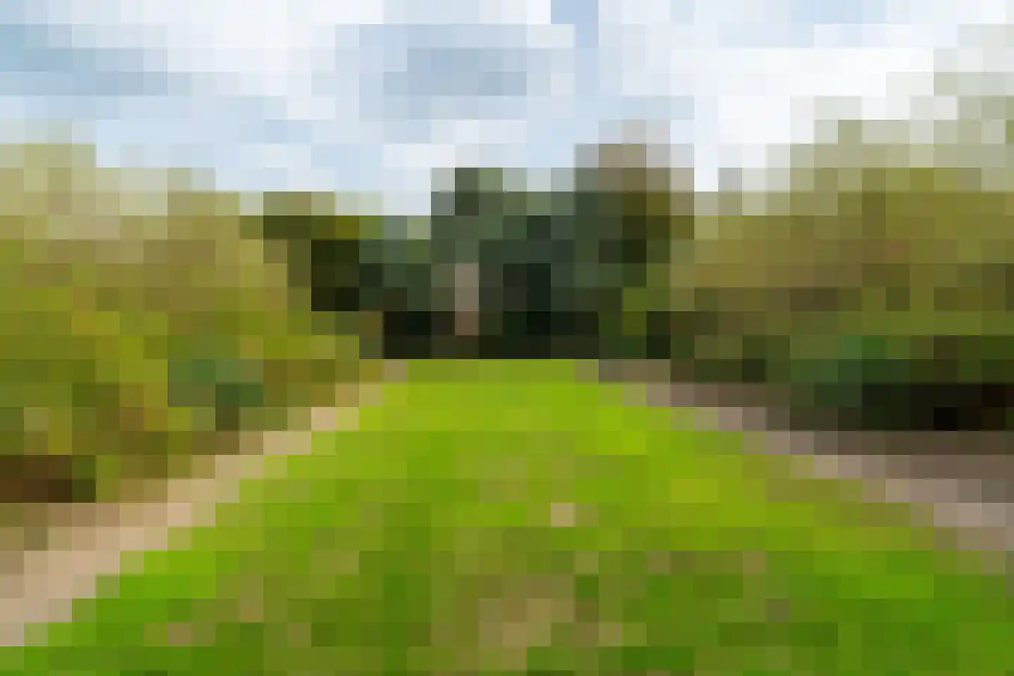 C.Branderhorststraat 16 Eethen thumbnail 51