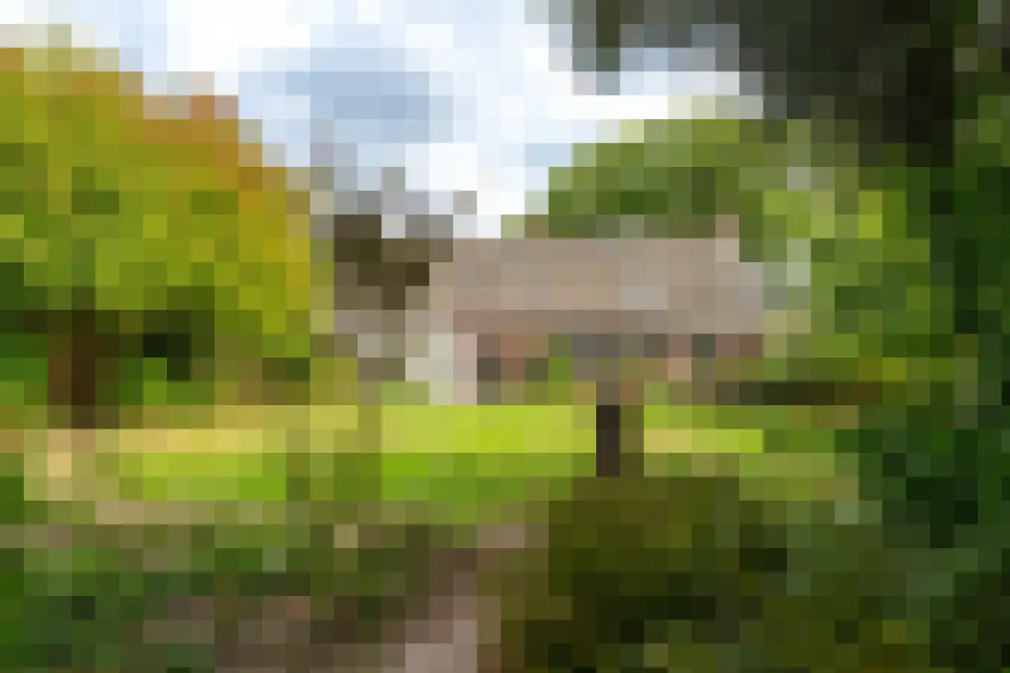 C.Branderhorststraat 16 Eethen thumbnail 52