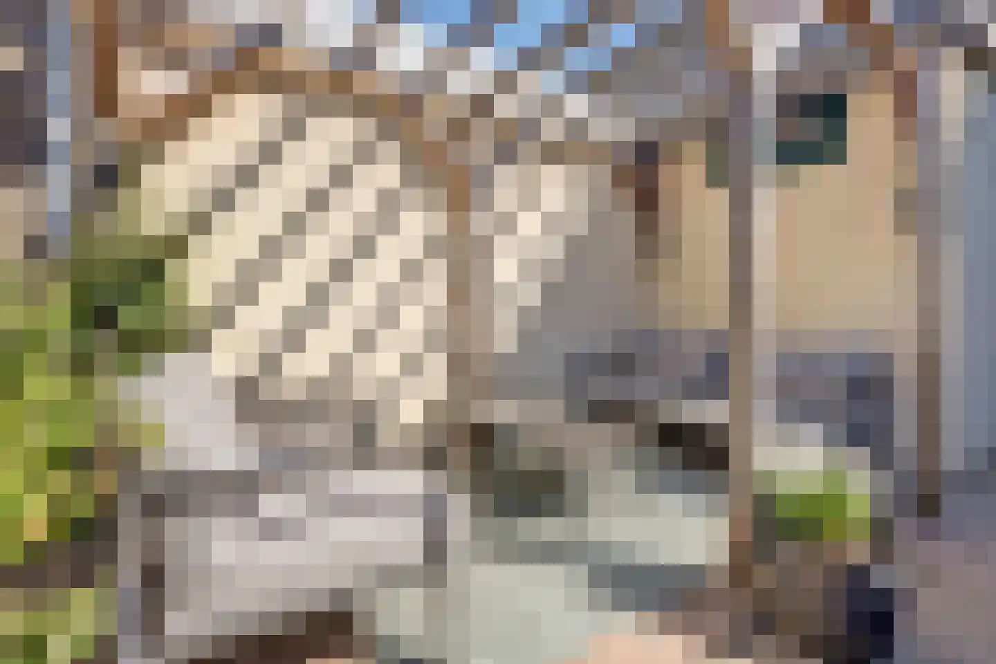 C.D.Tuinenburgstraat 67 Rotterdam thumbnail 18