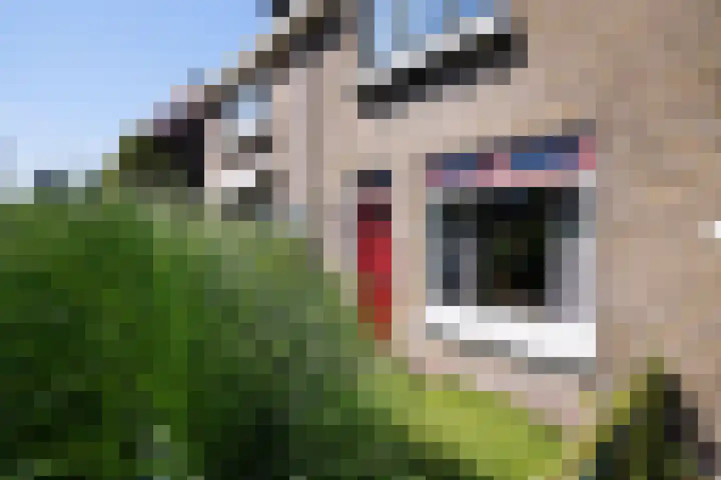 C.D.Tuinenburgstraat 89 Rotterdam thumbnail 27