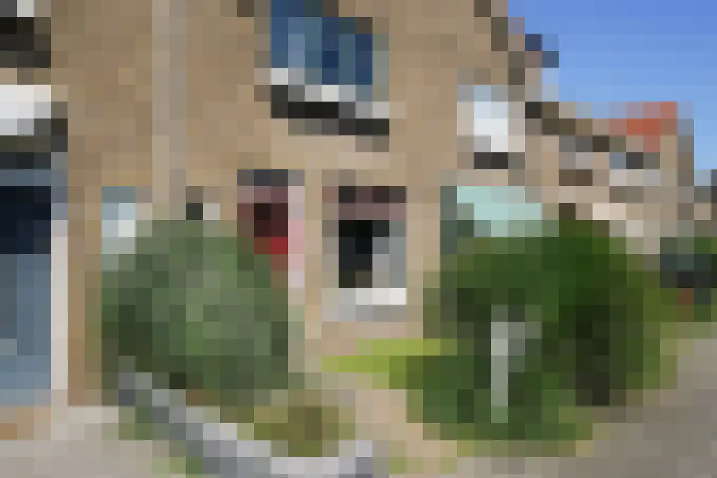 C.D.Tuinenburgstraat 89 Rotterdam thumbnail 29