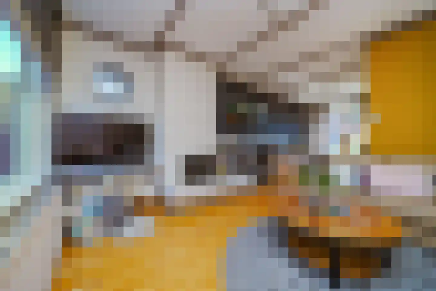 C.D.Tuinenburgstraat 89 Rotterdam thumbnail 7