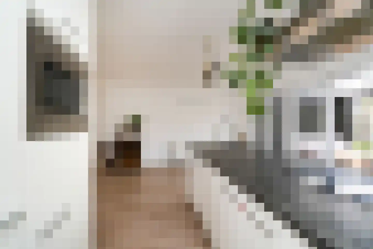 C.D.Tuinenburgstraat 93 Rotterdam thumbnail 15